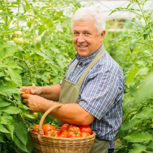 محمد اکبریان