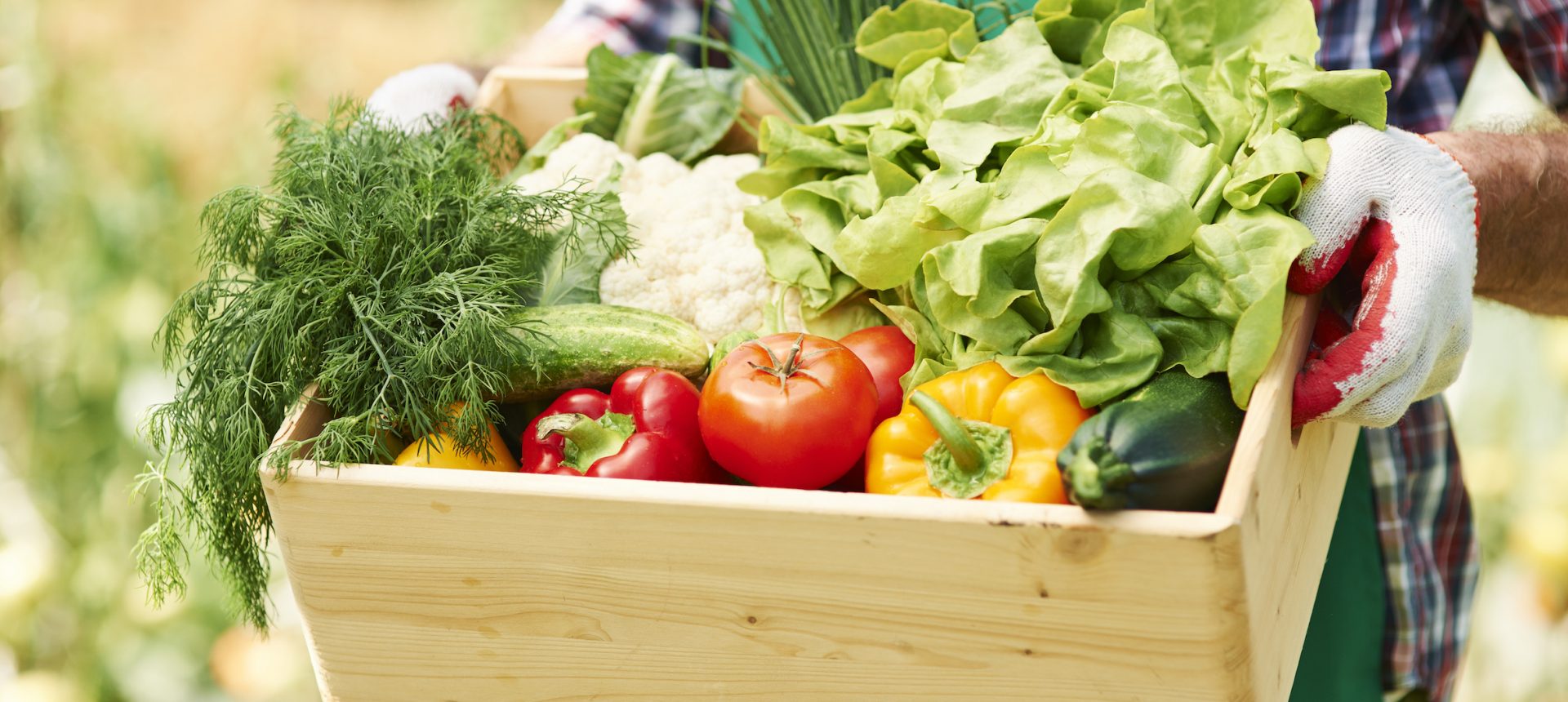 چگونه سفارش خود را ثبت کنیم