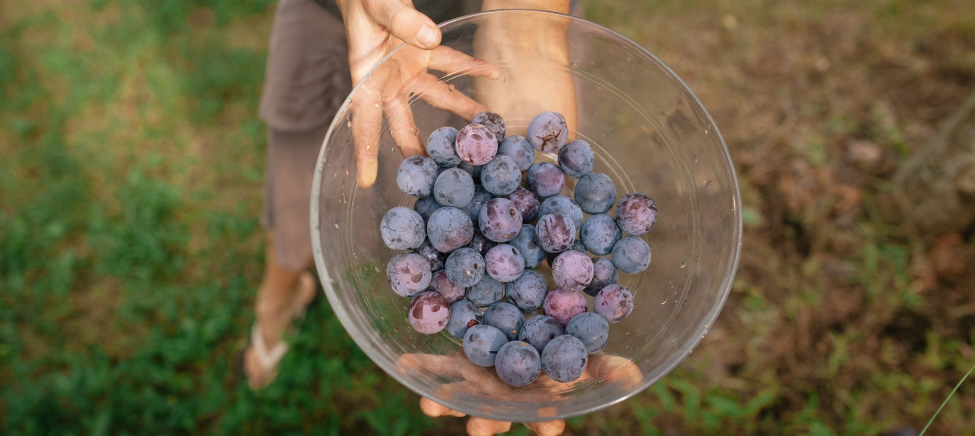 چگونه سفارش خود را ثبت کنیم