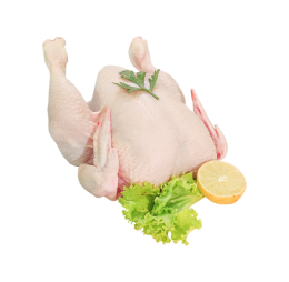 مرغ کامل تازه