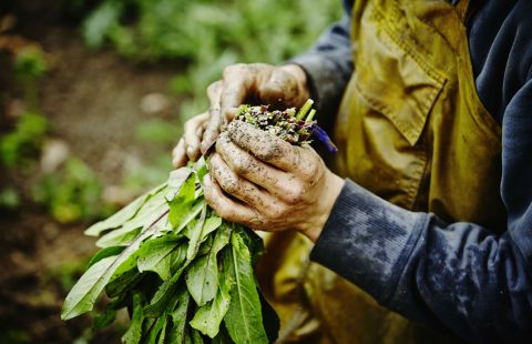 ویژگی های فروشگاه اینترنتی خوب